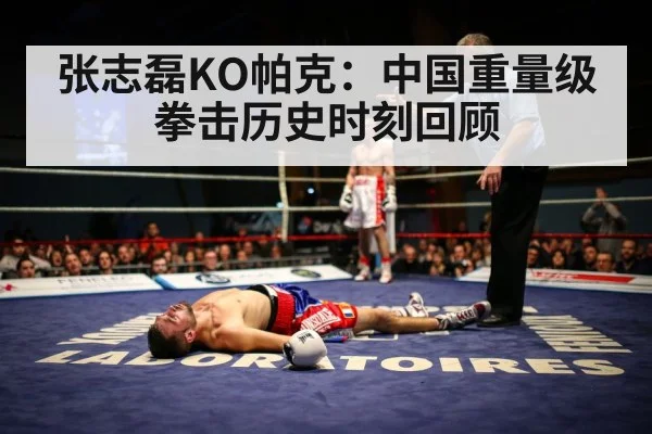 heavyweight boxing knockout